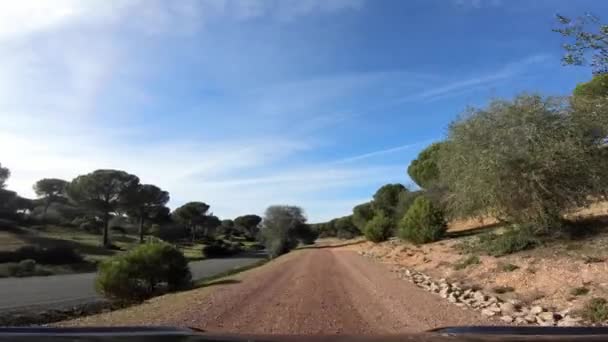 4K, POV vue de la voiture conduisant sur un chemin de terre à travers de belles forêts de pins campagne. Conduisez sur une route vide par une journée ensoleillée à Espagne. Paysage espagnol de champ. Réserve naturelle en Andalousie-Dan 