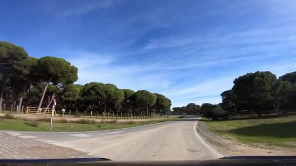 Pov Pohled Auto Projíždějící Dlouhé Cestě Krásnou Borovicovou Krajinou Španělsku — Stock video