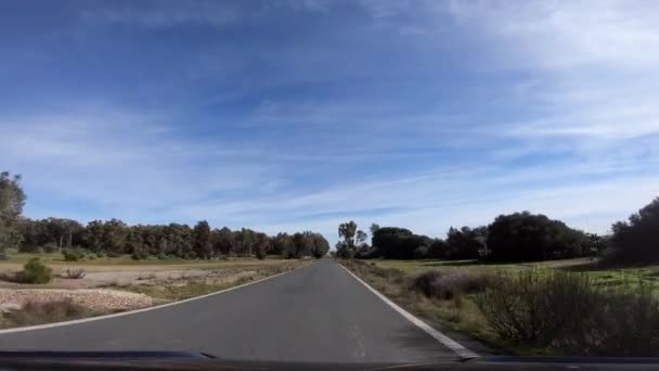 Pov View Car Driving Long Road Beautiful Pine Forests Countryside — Stock Video