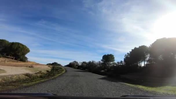 Pov Vista Coche Conduciendo Largo Camino Través Hermosos Bosques Pinos — Vídeos de Stock