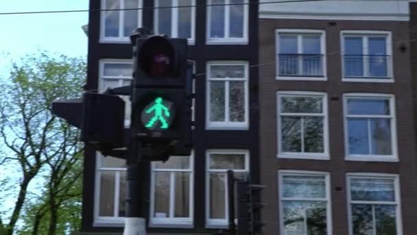 ヨーロッパの歩行者横断歩道は緑の色でアムステルダム市内の交通に署名し 光は一日に照らされます 横断道路の交差点オランダの通り 道路のルール ヨーロッパのダウンタウン — ストック動画