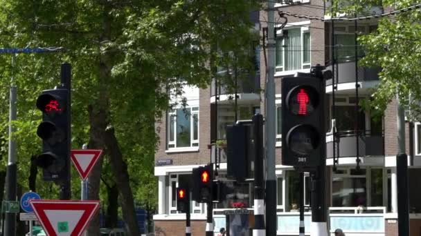 Amsterdam Nederländerna Maj 2019 Europeisk Vägvisare För Fotgängare Trafikljus Med — Stockvideo