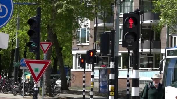 Amsterdam Nederländerna Maj 2019 Europeisk Vägvisare För Fotgängare Trafikljusen Ändras — Stockvideo