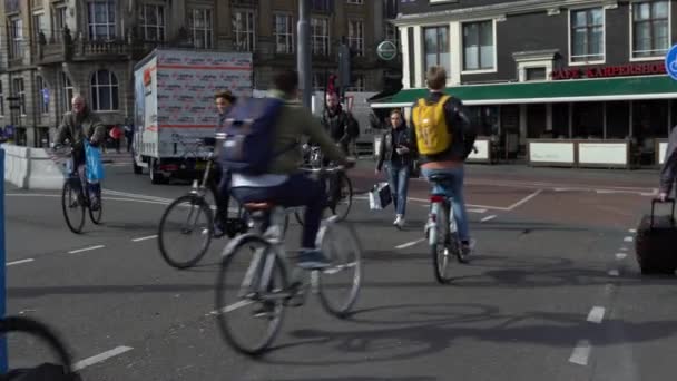 2019年5月13日 阿姆斯特丹 2019 自行车红绿灯在交叉路口改变颜色 有自行车概念背景的旅行 车流中的骑手 自行车的交通规则 — 图库视频影像