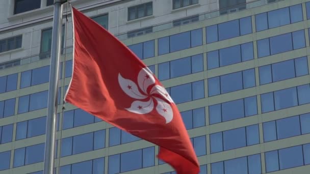 Zpomalený Pohyb Vlajky Hongkongu Vlnící Větru Moderním Mrakodrapem Pozadí Finanční — Stock video