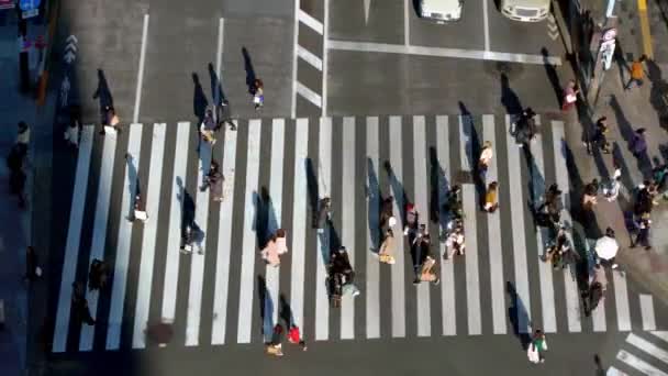 日本东京 2020年2月2日 在日落的灯光下 俯瞰一个人行横道的人群 亚洲市中心在白天 都会城市丹 — 图库视频影像