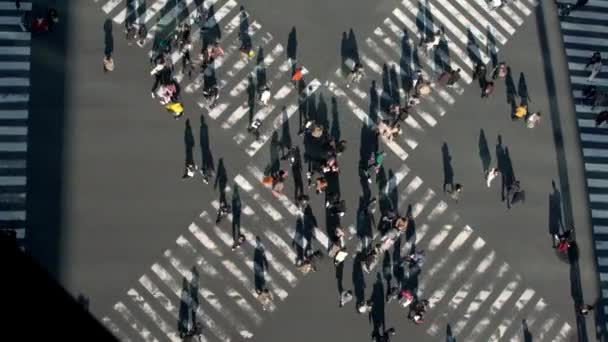 日没の光と道路の交差点を横断する群衆の歩行者の上に高架ビュー 混雑したスクランブル交差点でのアジア人の空中ビュー Dan — ストック動画