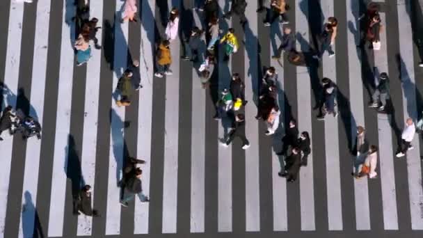日本东京 2020年2月2日 交通车辆的空中景观和落日灯光下的人行横道 亚洲人在最繁忙的道路交叉口行走时 高瞻远瞩 — 图库视频影像