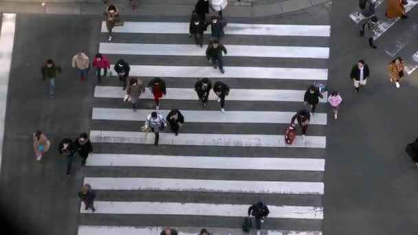 Tóquio Japão Fevereiro 2020 Vista Aérea Sobre Uma Multidão Pedestres — Vídeo de Stock