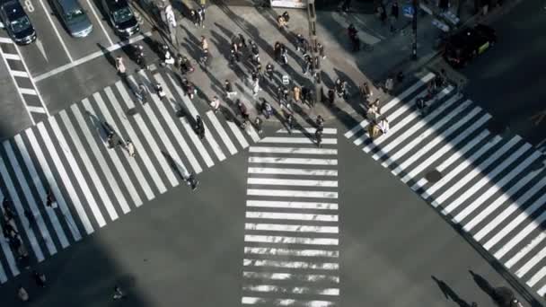 Tokyo Japonya Şubat 2020 Gün Batımının Işığıyla Kavşakta Kalabalık Bir — Stok video