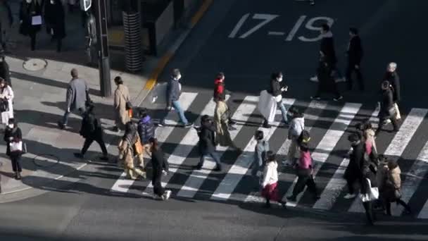 東京都2020年2月2日日没の光と交差する道路を横断する歩行者の上からの標高の高い景色 アジアのダウンタウンの日 メトロポリタンシティダン — ストック動画