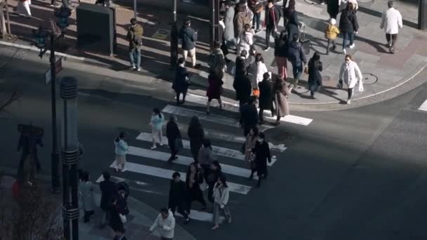 Tokyo Japan Februari 2020 Slow Motion Elevated View Crowd Pedestrian — Stockvideo