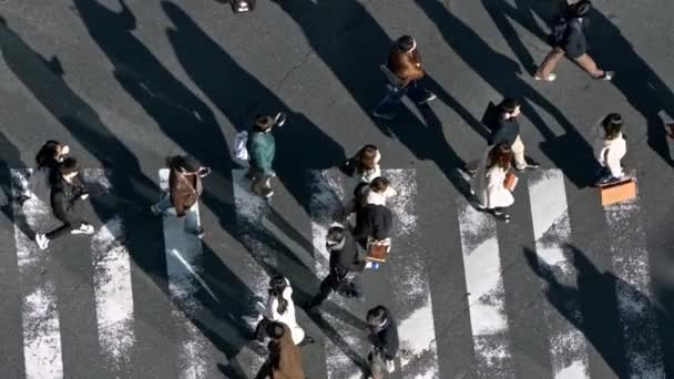 Movimento Lento Visão Elevada Sobre Uma Multidão Pedestre Que Cruza — Vídeo de Stock