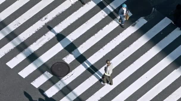 東京都2020年2月2日 日没の光と交差する道路を横断する群集の歩行者に対する高層ビューのスローモーション アジアのダウンタウンの日 メトロポリタンシティダン — ストック動画
