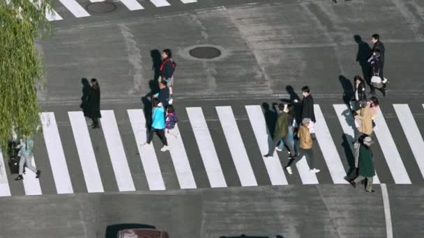 Tokyo Japonya Şubat 2020 Kavşaktaki Kalabalık Yaya Geçidinde Yavaş Çekim — Stok video