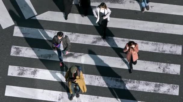 Τόκιο Ιαπωνία Φεβρουαρίου 2020 Αργή Κίνηση Υπερυψωμένης Θέας Διάβαση Πεζών — Αρχείο Βίντεο