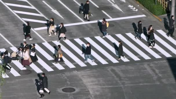 Tokyo Japon Février 2020 Ralenti Aérien Dessus Des Voitures Circulation — Video