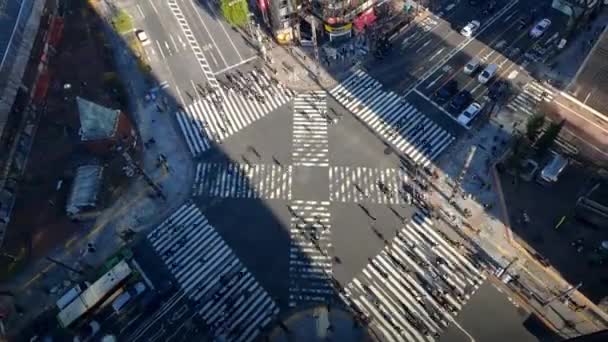 Tokyo Japonya Şubat 2020 Bir Trafik Arabası Yaya Geçidi Kalabalığının — Stok video
