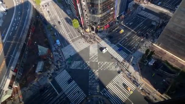 Tokio Japan Februar 2020 Zeitraffer Erhöhter Sicht Über Einen Fußgängerüberweg — Stockvideo