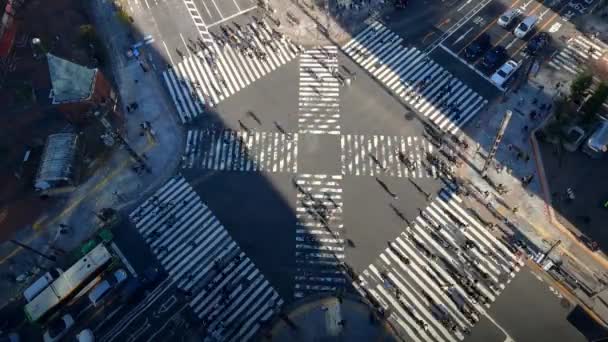 Zeitraffer Eines Luftbildes Über Einem Autoverkehr Und Einer Menschenmenge Von — Stockvideo
