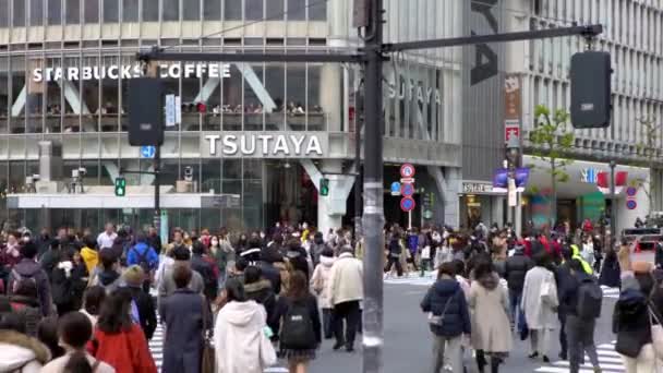 Tokio Japonsko Únor 2020 Davy Chodců Křižovatce Shibuya Asijci Jsou — Stock video