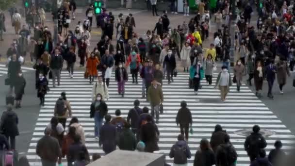 Tokio Japonsko Únor 2020 Letecký Pohled Přechod Pro Pěší Křižovatce — Stock video