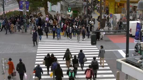 Tokyo Japonya Şubat 2020 Shibuya Kavşağındaki Kalabalık Yaya Geçidinin Havadan — Stok video