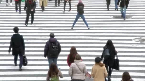 Tokio Japonsko Únor 2020 Zvýšený Pohled Dav Chodců Přecházejících Shibuya — Stock video