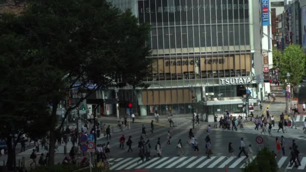 2017年9月29日 4K渋谷交差点を横断する歩行者の群集の空中ビュー東京 忙しいスクランブル交差点のアジアの人々日本 アジアのダウンタウン メトロポリタンシティダン — ストック動画