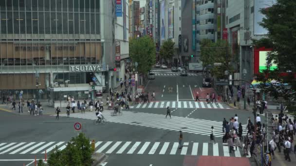 Tóquio Japão Setembro 2017 Vista Sobre Uma Multidão Pedestres Que — Vídeo de Stock