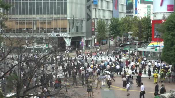 日本东京 2017年9月29日 View Crowd Pedestrian Crossing Shibuya Tokyo 亚洲人和游客走在最繁忙的交叉路口街道上 旅游景点 — 图库视频影像