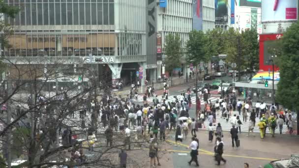 Tokio Japonsko Září 2017 Letecký Pohled Dav Pěších Křižovatek Shibuya — Stock video