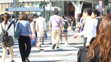 Tokyo, Japonya-29 Eylül 2017: 4K Shibuya kavşağından geçen kalabalık yayaları taşıyor. Dolly yerel Asyalıları vurdu ve turistler en işlek yol kavşağında yürüyorlar.