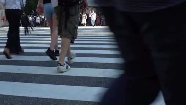 Tokyo Giappone Settembre 2017 Viaggio Folla Pedonale Attraversamento Shibuya Intersezione — Video Stock