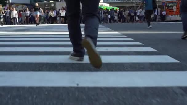 Tokyo Japan September 2017 Reizen Van Menigte Voetgangers Kruising Shibuya — Stockvideo