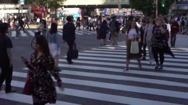 Tokyo, Japonya-29 Eylül 2017: 4K Shibuya kavşağında yaya geçidi. Meşgul Asyalılar Japonya yaya geçidinde. Asya şehir merkezinde. Metropolitan Şehir-Dan