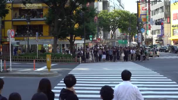 Tokyo Japonya Eylül 2017 Shibuya Kavşağından Geçen Kalabalık Yayaları Taşıyor — Stok video