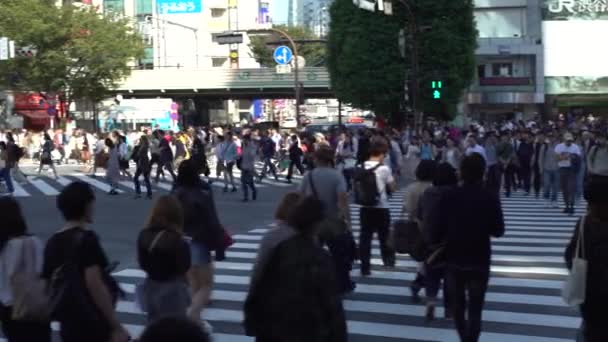 日本东京 2017年9月29日 4K人群在东京涉谷交叉口的人行横道 亚洲人和游客走在最繁忙的交叉路口街道上 旅游景点 Dan — 图库视频影像