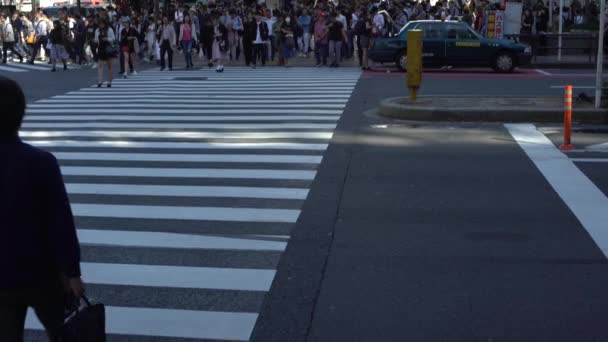 Tokio Japón Septiembre 2017 Multitud Pasos Peatonales Intersección Shibuya Tokio — Vídeo de stock