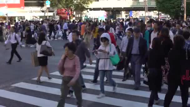 日本东京 2017年9月29日 4K人群在东京涉谷交叉口的人行横道 亚洲人和游客走在最繁忙的交叉路口街道上 旅游景点 Dan — 图库视频影像