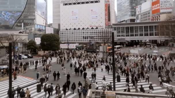 日本东京 2020年2月4日 石谷交叉口人群人行横道的空中景观 亚洲人在繁忙的拥挤的人行道上 亚洲市中心在白天 都会城市 — 图库视频影像