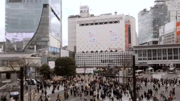 日本东京 2020年2月4日 涉谷交叉口的人群 亚洲人在繁忙的拥挤的人行道上 亚洲市中心在白天 都会城市丹 — 图库视频影像