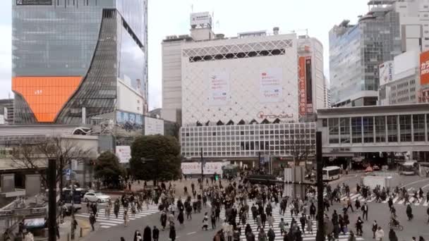 日本东京 2020年2月4日 涉谷人群中的高架景观 亚洲人和游客走在最繁忙的交叉路口街道上 旅游景点 Dan — 图库视频影像