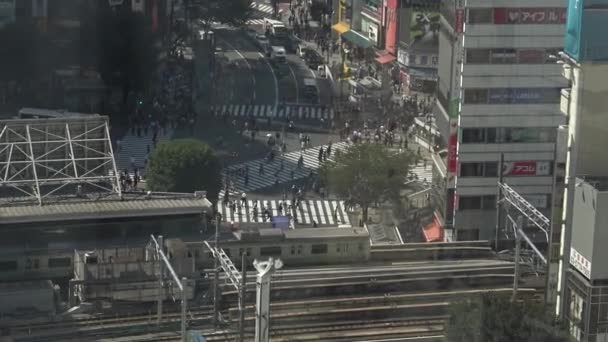 Tokyo Japan September 2017 Aerial View Crowd Pedestrian Crossing Shibuya — Stock Video