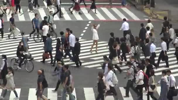 Tokio Japonsko Září 2017 Letecký Pohled Dav Chodců Křižovatce Shibuya — Stock video