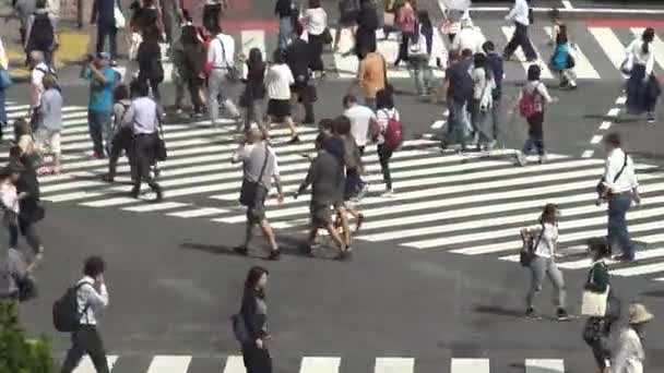 Tokio Japonsko Září 2017 Pohled Dav Chodců Shibuya Tokyo Asijci — Stock video