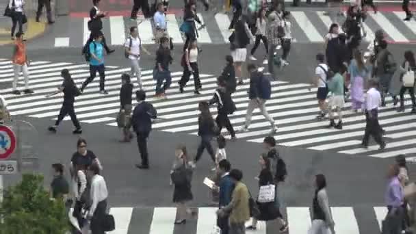 2017年9月29日 渋谷交差点を横断する歩行者の群集の空中ビュー東京 忙しいスクランブル交差点のアジアの人々日本 アジアのダウンタウン メトロポリタンシティダン — ストック動画