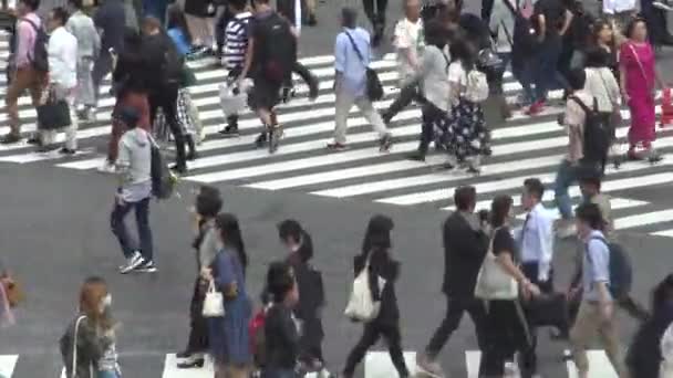 Tokio Japonsko Září 2017 Pohled Dav Chodců Shibuya Tokyo Asijci — Stock video
