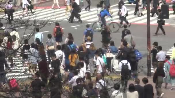 2017年9月29日 渋谷交差点を横断する歩行者の群集の空中ビュー東京 忙しいスクランブル交差点のアジアの人々日本 アジアのダウンタウン メトロポリタンシティダン — ストック動画