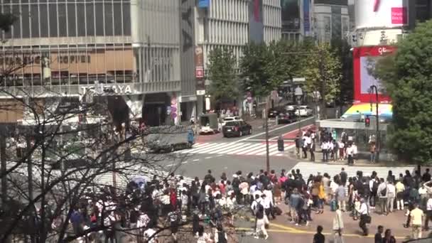 日本东京 2017年9月29日 东京石布亚交叉口人群的空中景观 亚洲人在繁忙的拥挤的人行道上走来走去 市中心的亚洲都会城市丹 — 图库视频影像